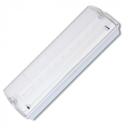 Nouzové LED svítidlo LEDER, 3W, 3h, 140 lm, IP65